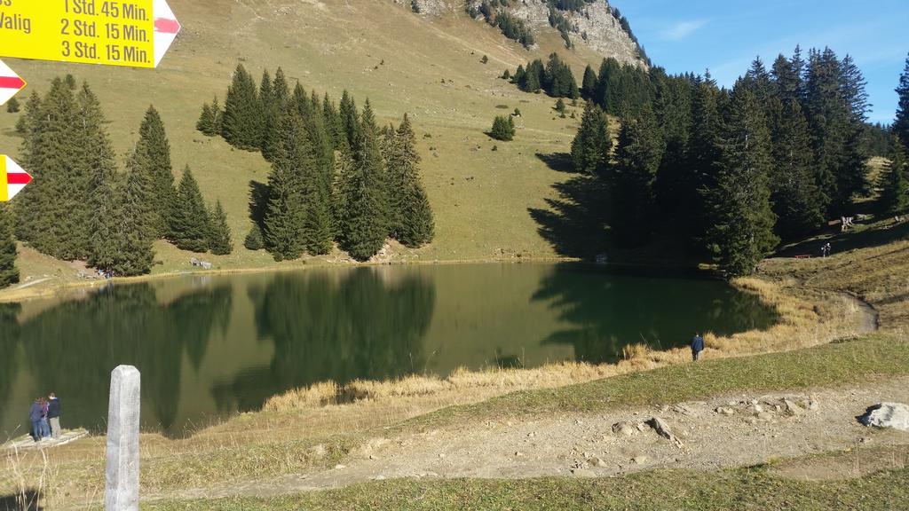 Tivoli Chalet Bed & Breakfast Leysin Exterior foto