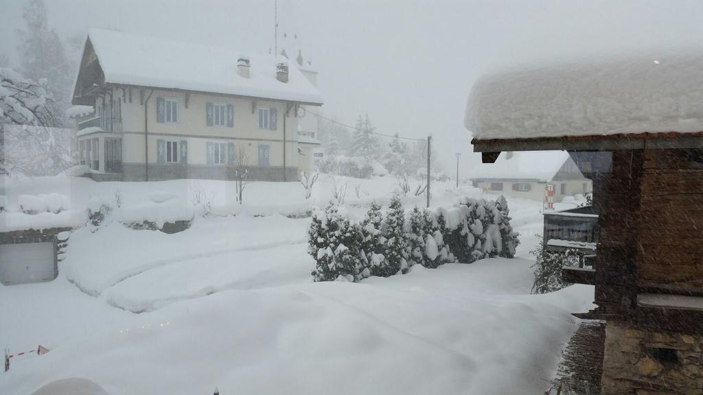 Tivoli Chalet Bed & Breakfast Leysin Exterior foto